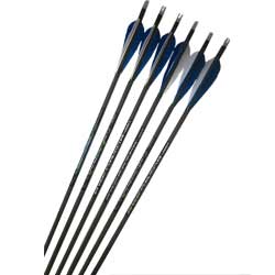 SPECIAL OFFER - NEW Carbon Express Predator Arrows - Factory Fletched