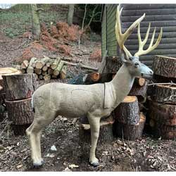 Used - Rinehart Mule Deer 2