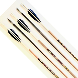 Goldtip Traditional Classic XT 500 Spine x 12