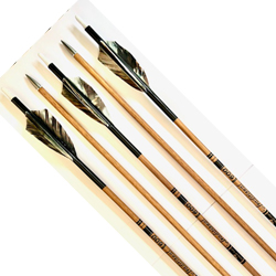 Goldtip Traditional 600 Spine x 12