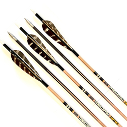 Goldtip Traditional Classic 600 Spine x 12