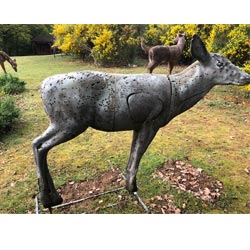Used - Mckenzie Mule Deer 3D Target